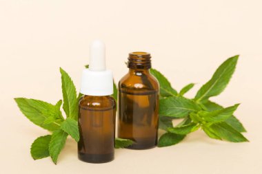 Cam Şişedeki Doğal Nane Özeli Yağı. Renkli arka planda nane özlü bitkisel kozmetik ürünleri.