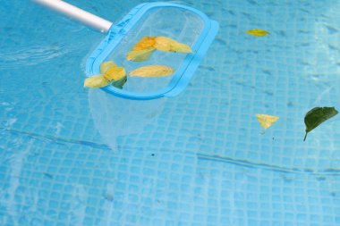 Yüzme havuzunu ağ süzgeciyle temizliyorum. Uzun ağ, suyun yüzeyindeki renkli yaprakları temizler..