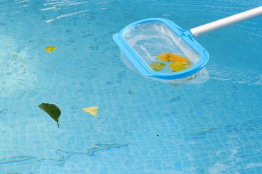 Yüzme havuzunu ağ süzgeciyle temizliyorum. Uzun ağ, suyun yüzeyindeki renkli yaprakları temizler..