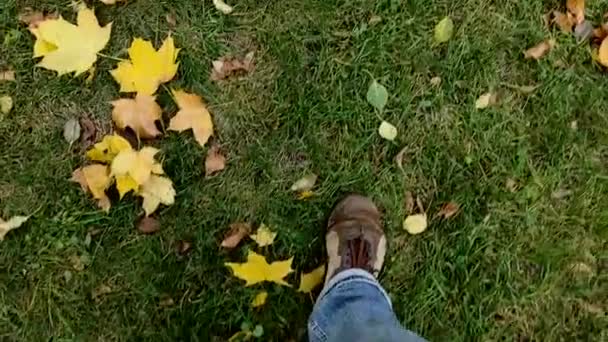 Bovenaanzicht Van Poten Van Een Man Die Groen Gras Loopt — Stockvideo