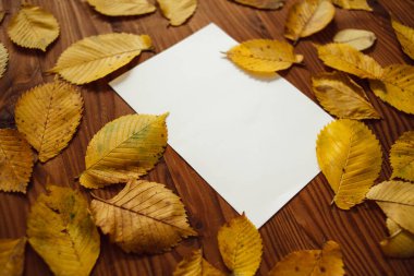 Sarı sonbahar yaprakları ve ahşap zemin üzerinde yazı için yeri olan boş kağıtlar. Sonbahar arkaplan bileşimi.
