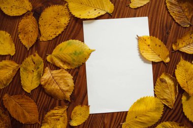 Sarı sonbahar yaprakları ve ahşap zemin üzerinde yazı için yeri olan boş kağıtlar. Sonbahar arka plan kompozisyonu. Sonbahar yapraklarından sonraki hayat.