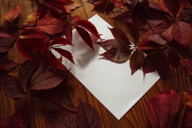 Kırmızı sonbahar yaprakları ve ahşap zemin üzerinde yazı için yeri olan boş kağıtlar. Sonbahar arka plan kompozisyonu. Sonbahar yapraklarından sonraki hayat.