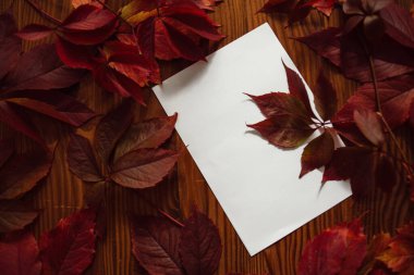 Kırmızı sonbahar yaprakları ve ahşap zemin üzerinde yazı için yeri olan boş kağıtlar. Sonbahar arka plan kompozisyonu. Sonbahar yapraklarından sonraki hayat.