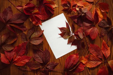 Kırmızı sonbahar yaprakları ve ahşap zemin üzerinde yazı için yeri olan boş kağıtlar. Sonbahar arka plan kompozisyonu. Sonbahar yapraklarından sonraki hayat.