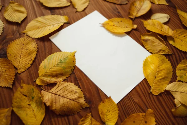 Sarı sonbahar yaprakları ve ahşap zemin üzerinde yazı için yeri olan boş kağıtlar. Sonbahar arkaplan bileşimi.