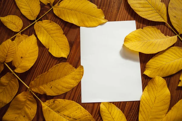 Blank white sheet of paper and yellow leaves on the brown wooden background. Top view on set for copy space.