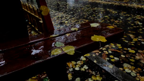 Sonbahar Parkındaki Ahşap Bankta Yağmur Altında Yapraklar Dökülüyor Yağmurda Islak — Stok video