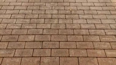 POV, sonbaharda yapraklarla dolu bir parkta, şehir caddesinde yol boyunca yürüyor. Taş kaldırımdaki ilk kişinin tepesinden bak..