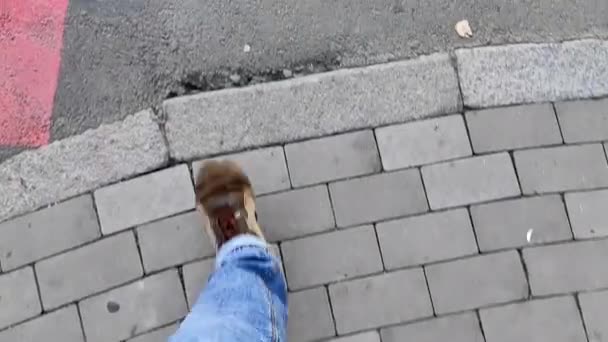 Крупным Планом Вид Ноги Человека Идущего Городским Дорогам Тротуарам Выложенным — стоковое видео