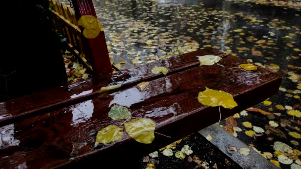 Holzbank Einem Herbstlichen Park Regen Mit Abgefallenem Laub Umgefallenes Laub — Stockvideo