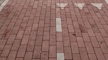 İşaretli bisiklet yolunun üst görünümü.