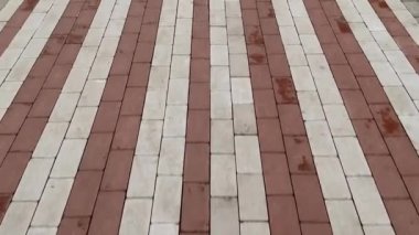 Şehirde bisiklet yolu boyunca yürü. Bisiklet yolundaki ilk kişiden en iyi görüntü. Bir bisiklet yolunu işaret eden yol işaretleri.