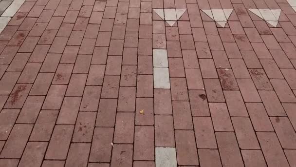 Bovenaanzicht Van Het Fietspad Met Markeringen — Stockvideo