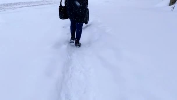 Widok Tyłu Grupa Ludzi Spacerujących Śnieżnej Drodze Duże Opady Śniegu — Wideo stockowe
