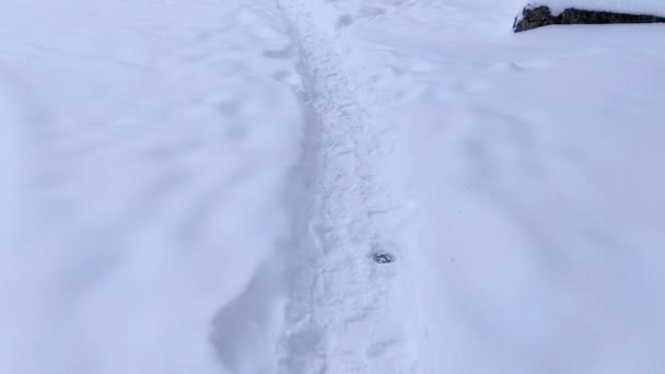 雪道を歩く 男が雪道を歩いている スノートレイルの閉鎖 — ストック動画