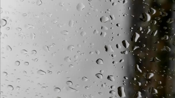 雨の後 窓ガラス上の水の自然な低下として垂直ビデオ 窓に水が落ちる 窓の外で雨が降っている — ストック動画