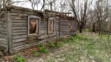 Ukrayna köyünde ahşap odunlardan yapılmış terk edilmiş bir ev. Köyde terk edilmiş eski ahşap bir ev. Köydeki harabe bir evin bahçesinde..