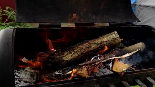 Leña Está Ardiendo Parrilla Preparación Carbones Para Cocinar Carne Sobre — Vídeo de stock