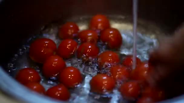 Woman Washes Lot Tomatoes Kitchen Sink Running Water Tomatoes Being — Stock Video