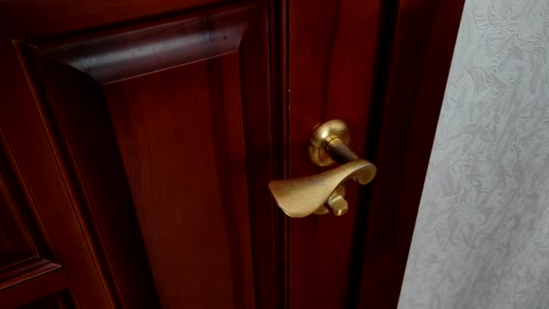 男はドアを開けた 男が金色のハンドルで茶色の室内ドアを開く — ストック動画
