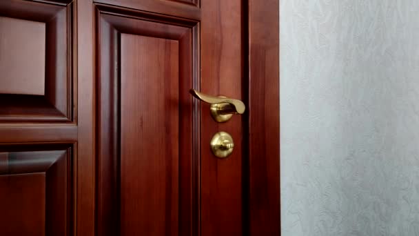 男はドアを開けた 男が金色のハンドルで茶色の室内ドアを開く — ストック動画