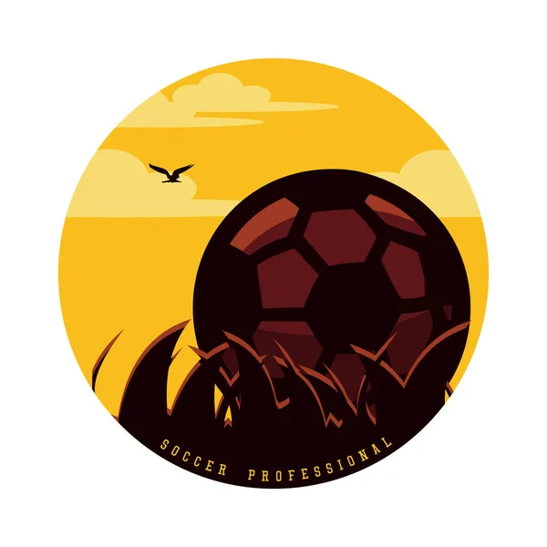 Vector Illustration Soccer Professional Football Vintage Illustration — Image vectorielle