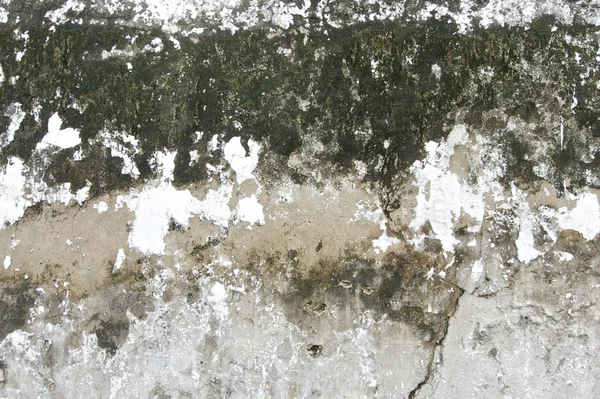 モスとひび割れや汚れたコンクリートの壁 — ストック写真