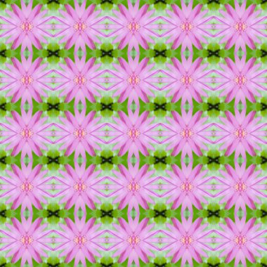 Pembe lotus veya nilüfer sorunsuz