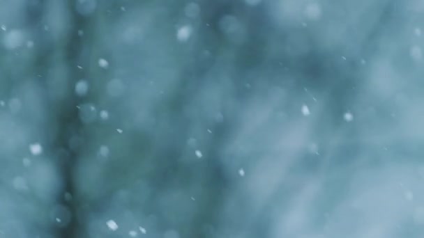 Hópelyhek hullanak a kék háttérre. Havazik. Karácsonyi nyaralás háttér — Stock videók