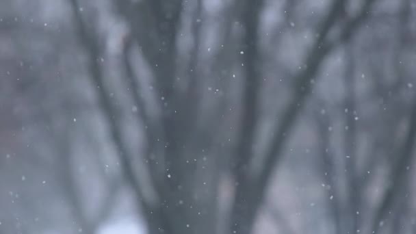 Hópelyhek hullanak. Havazik. Béke, nyugalom és pihenés. Tél — Stock videók