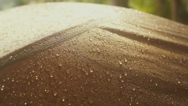 Winzige Regentropfen, die im Morgengrauen auf dem Dach des Zeltes leuchten — Stockvideo