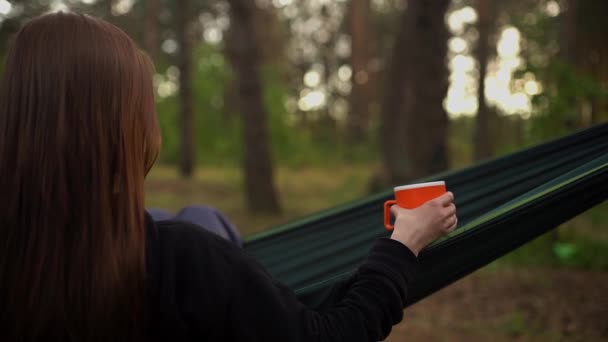 Una ragazza sicura scuotendo i capelli su un'amaca — Video Stock