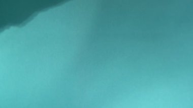 Eline çıkartma yapıştırır Mutlu ol