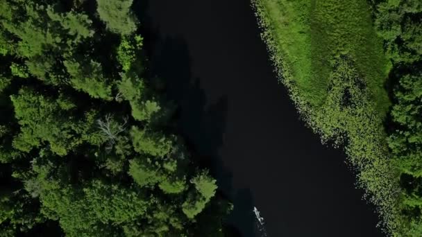 Przyjaciele kajaki na dzikiej rzece wzdłuż gęstych zielonych drzew — Wideo stockowe