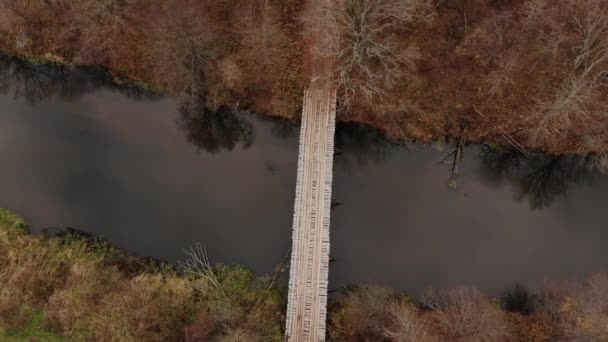 Pohled z ptačí perspektivy na ženu běžící přes dřevěný most — Stock video
