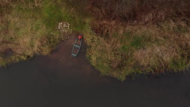 Vista dall'alto della femmina adulta che osserva la natura in autunno — Video Stock