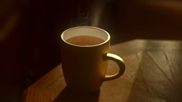Dampfender Tee in der Sonne — Stockvideo