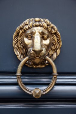 Kapı kolu aslan