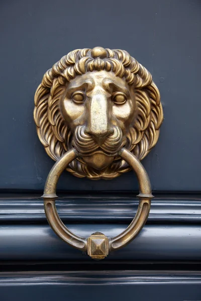 Door handle lion — Stock Photo, Image