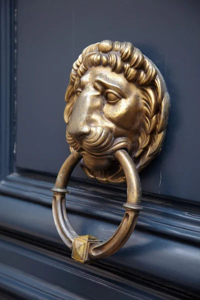 Door handle lion — Stock Photo, Image