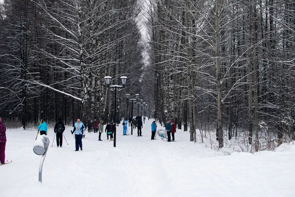 Moskova, Rusya 3 Ocak 2021: İnsanlar parkta kayak yapıyor. Ormanda kış aktiviteleri. — Stok fotoğraf