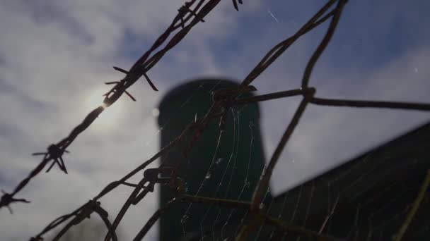 Alambre Púas Contra Cielo — Vídeo de stock