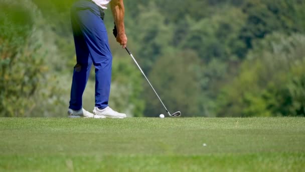 Homme Jouant Golf Sur Herbe Verte — Video