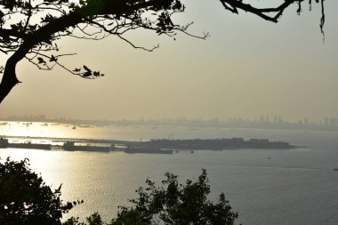 Okyanusa yakın sarı günbatımı ön planda siluet ağaçları var..