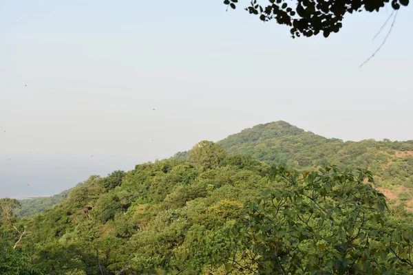 Vista Topo Uma Ilha Repleta Árvores Verdes Perto Mumbai — Fotografia de Stock