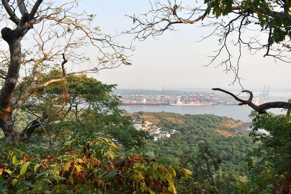 Beau Port Bombay Capturé Haut Avec Des Arbres Colorés Premier — Photo