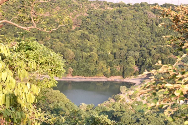 Love Type Lake Surrounded Forest Captured Top — Stock Photo, Image