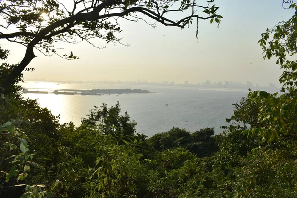 Mumbai yakınlarındaki bir adadan yakalanan okyanus.