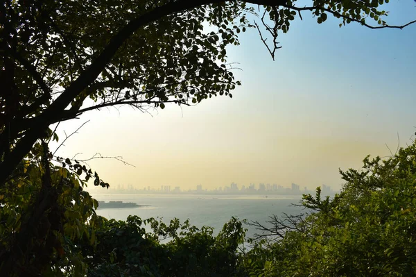 Una Hermosa Frontera Natural Con Árboles Justo Detrás Del Océano — Foto de Stock